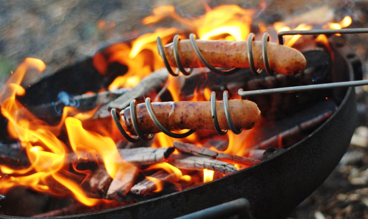 Curly Dog Roasting Sticks